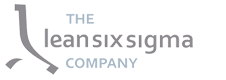 lean-six-sigma-company-logo